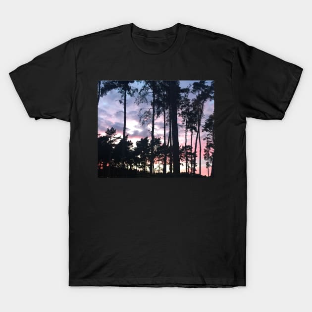 Forest sunset landscape beautiful pink hues in the shadow of sky high pine trees T-Shirt by Artonmytee
